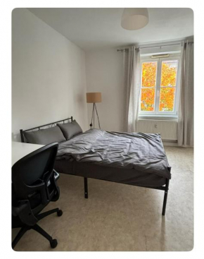 1-Raum Wohnung in Südvorstadt Dresden